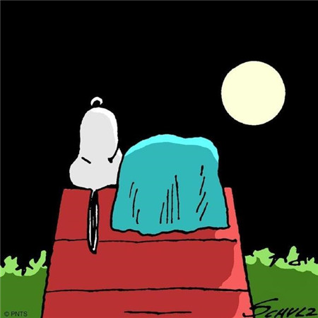 关于砥砺逐梦优美句子;今晚的月亮和星星都很像你